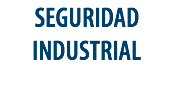 SEGURIDAD
INDUSTRIAL 