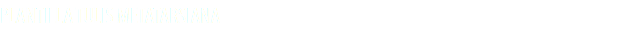 PLANTILLA TULIS METATARSIANA