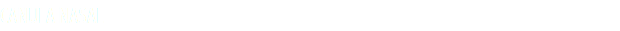 CANULA NASAL